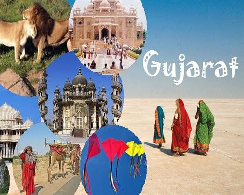 Tarpaulin Supplier In Gujarat