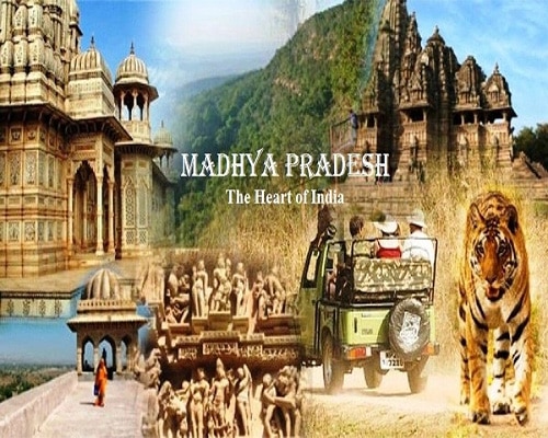 Tarpaulin Supplier In Madhya Pradesh
